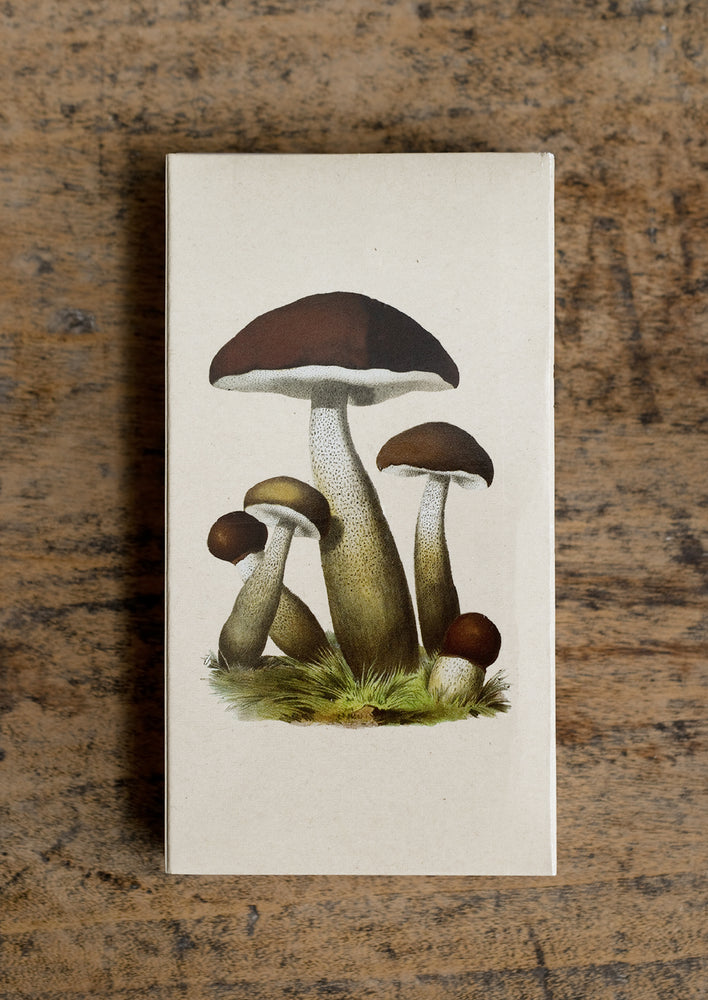 Mushrooms Matchbox