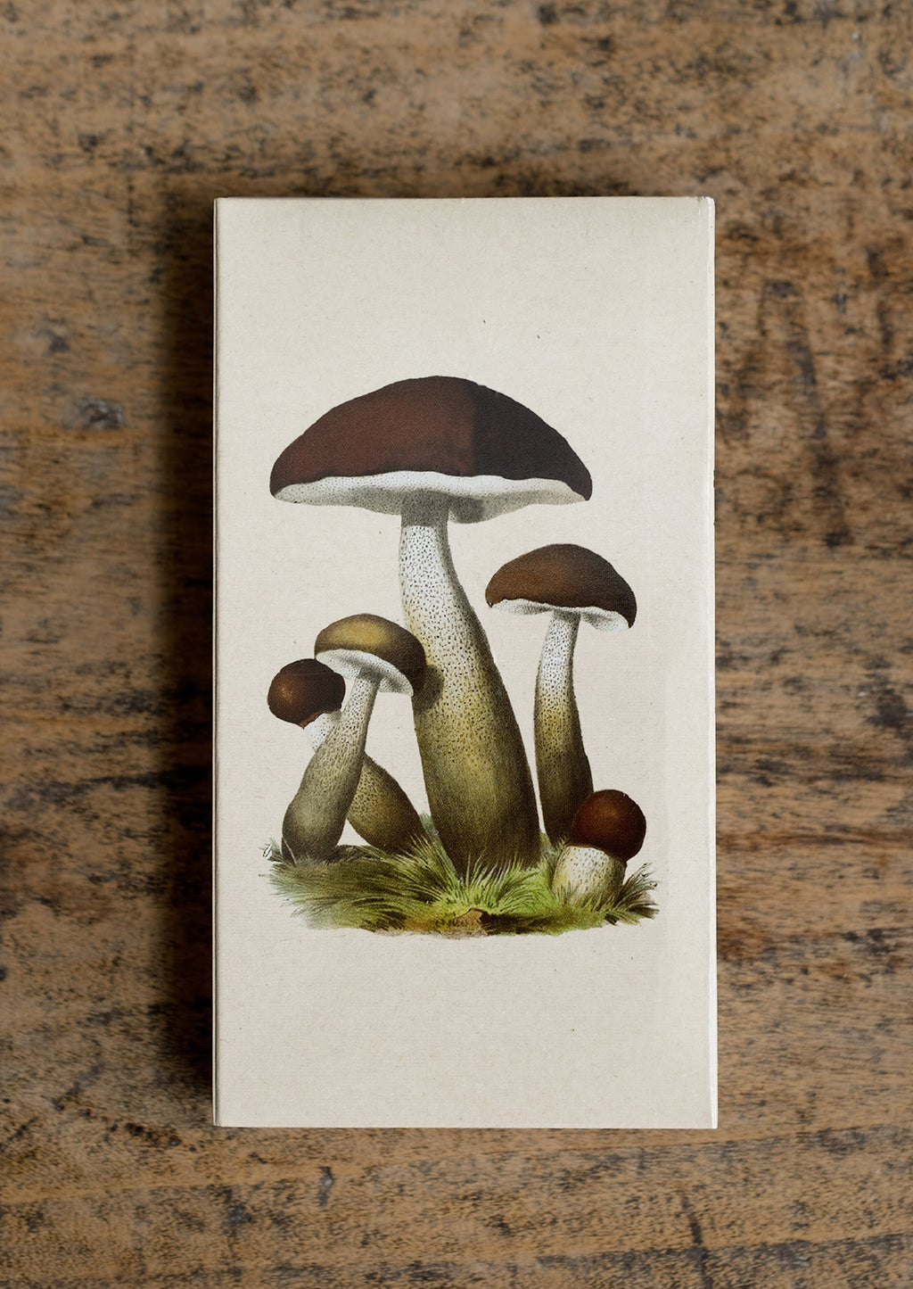 1: Mushrooms Matchbox