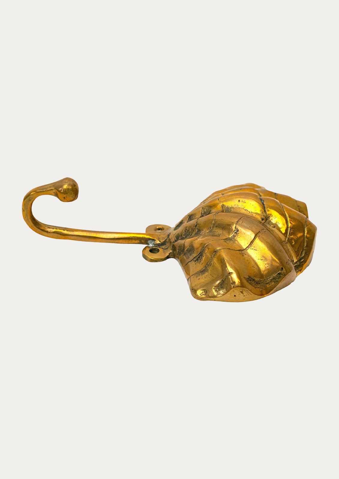 Gold shell-shaped hook on a white background