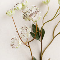 1: A faux nigella flower spray in white.