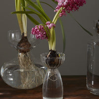 Small / Pinched: A glass vase with flowers on a table.