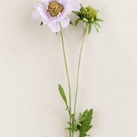 Pale Mauve: A faux scabiosa flower in pale mauve.