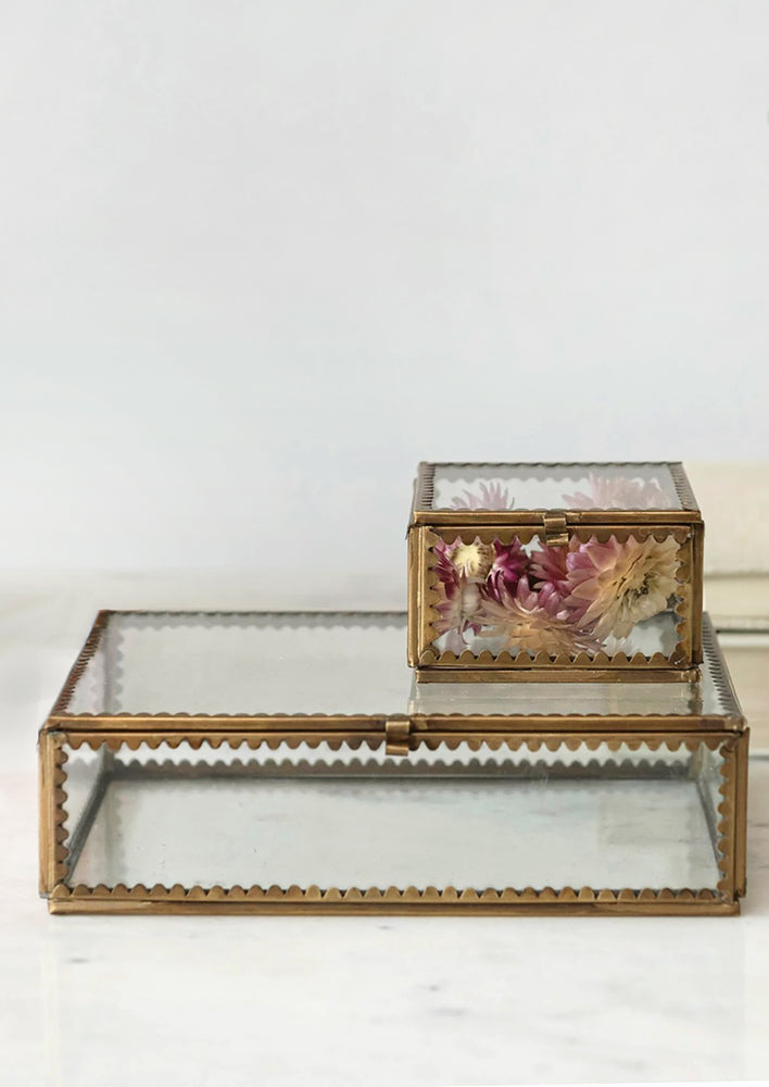 1: Clear glass boxes with scalloped brass decorative trim.