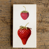 2: A box of long red tipped matches, box has vintage-inspired strawberry illustration.