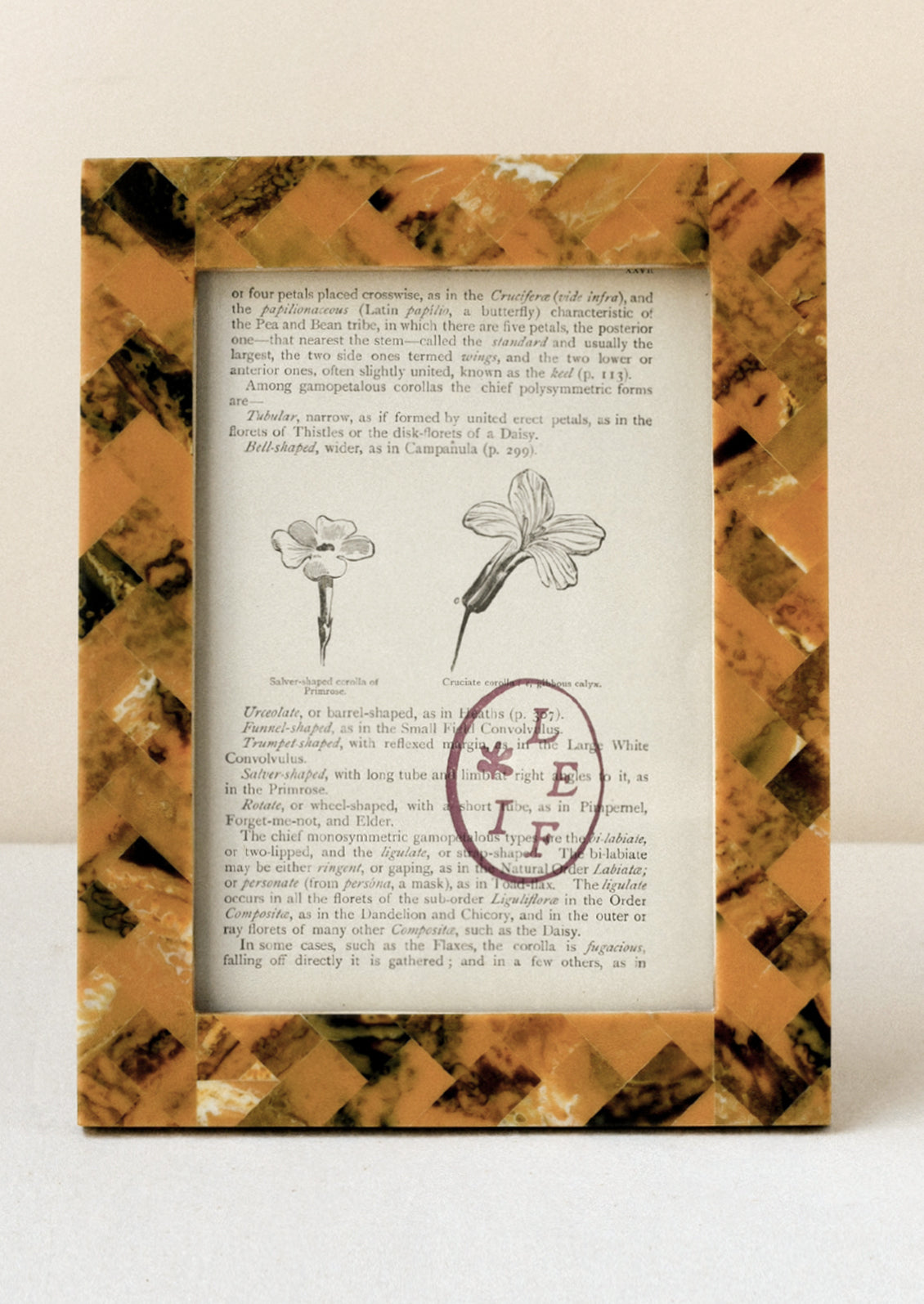 A 5" x 7" picture frame with a tiled design in a honey and marbled brown color.
