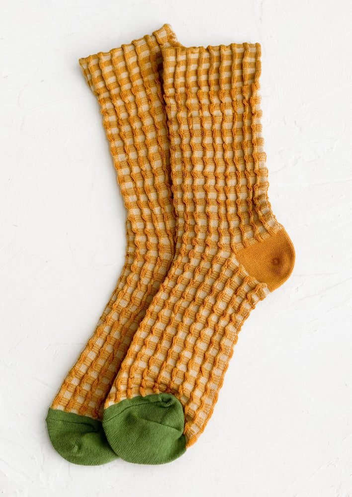 Mustard Multi: A pair of socks in mustard gingham with green cap toe.