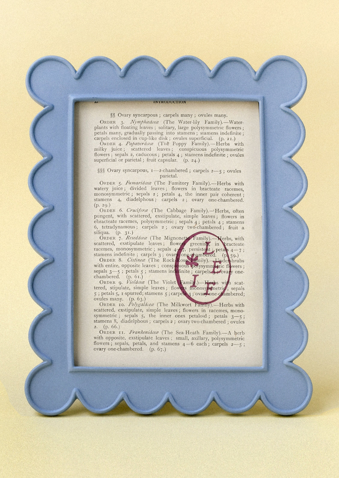 A powder blue 5" x 7" picture frame with a scalloped design.
