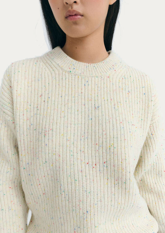 Person wearing a cream ribbed sweater with multicolored speckles.
