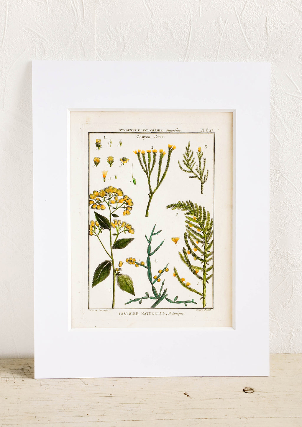 2: Vintage botanical print with white mat. Print features green and yellow leaves and flowers.