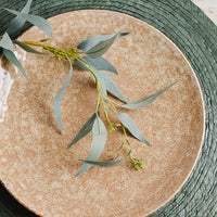 2: A brown ceramic plate on a dark green woven placemat with eucalyptus garnish.
