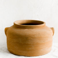 Terracotta: A low and wide terracotta planter.
