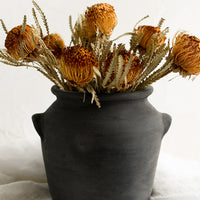 2: A blackened terracotta pot holding dried protea flowers.