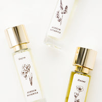 1: Glass perfume bottles with golden lids and beautiful botanical labels