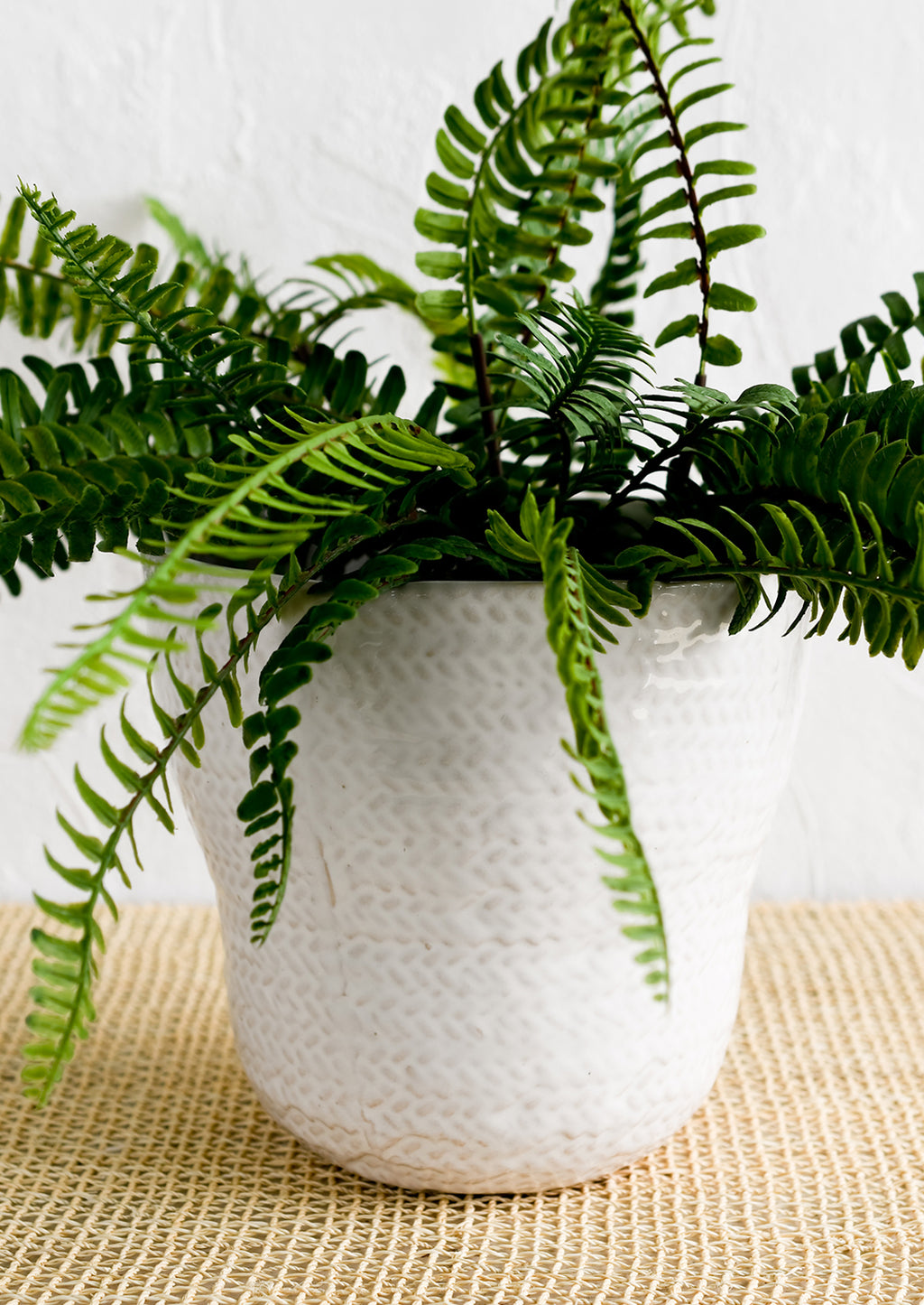 1: A white basketweave planter with fern plant.