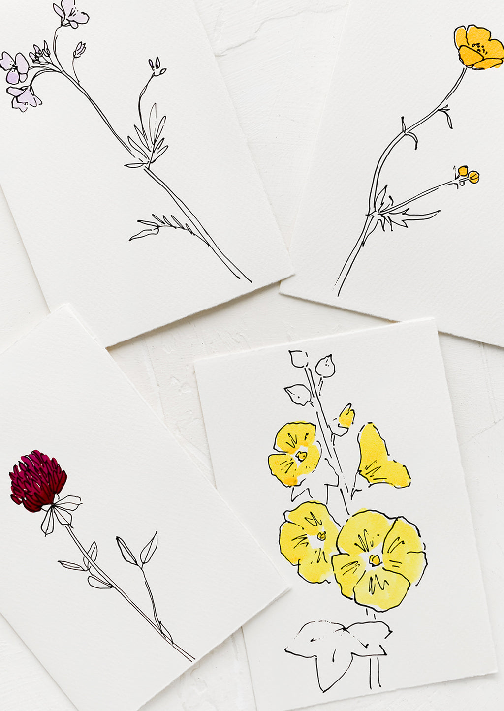 2: White greeting cards with hand-painted botanical imagery.