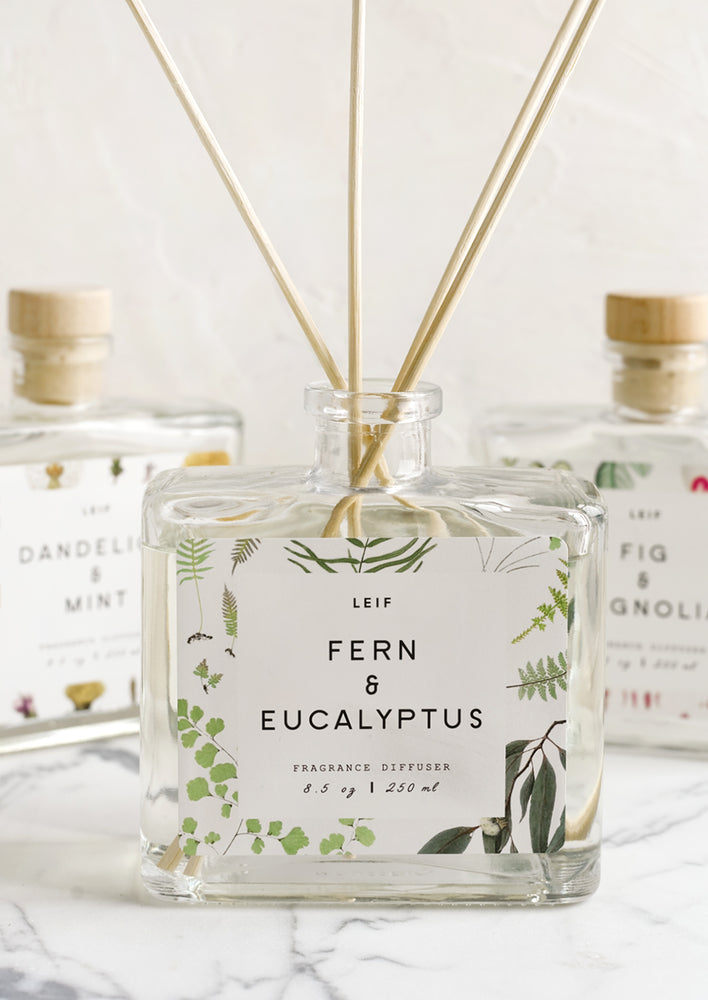 Fern & Eucalyptus: A fern and eucalyptus scented reed diffuser with glass bottle.