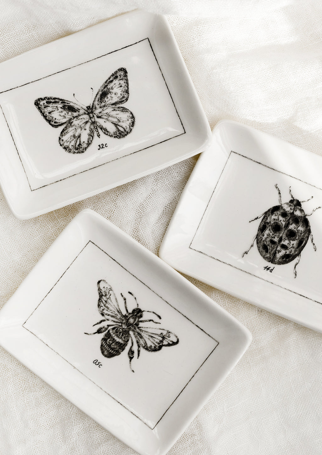 2: Black and white trinket dishes with assorted insects.