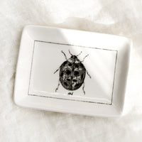 Ladybug: A black and white trinket dish with ladybug.