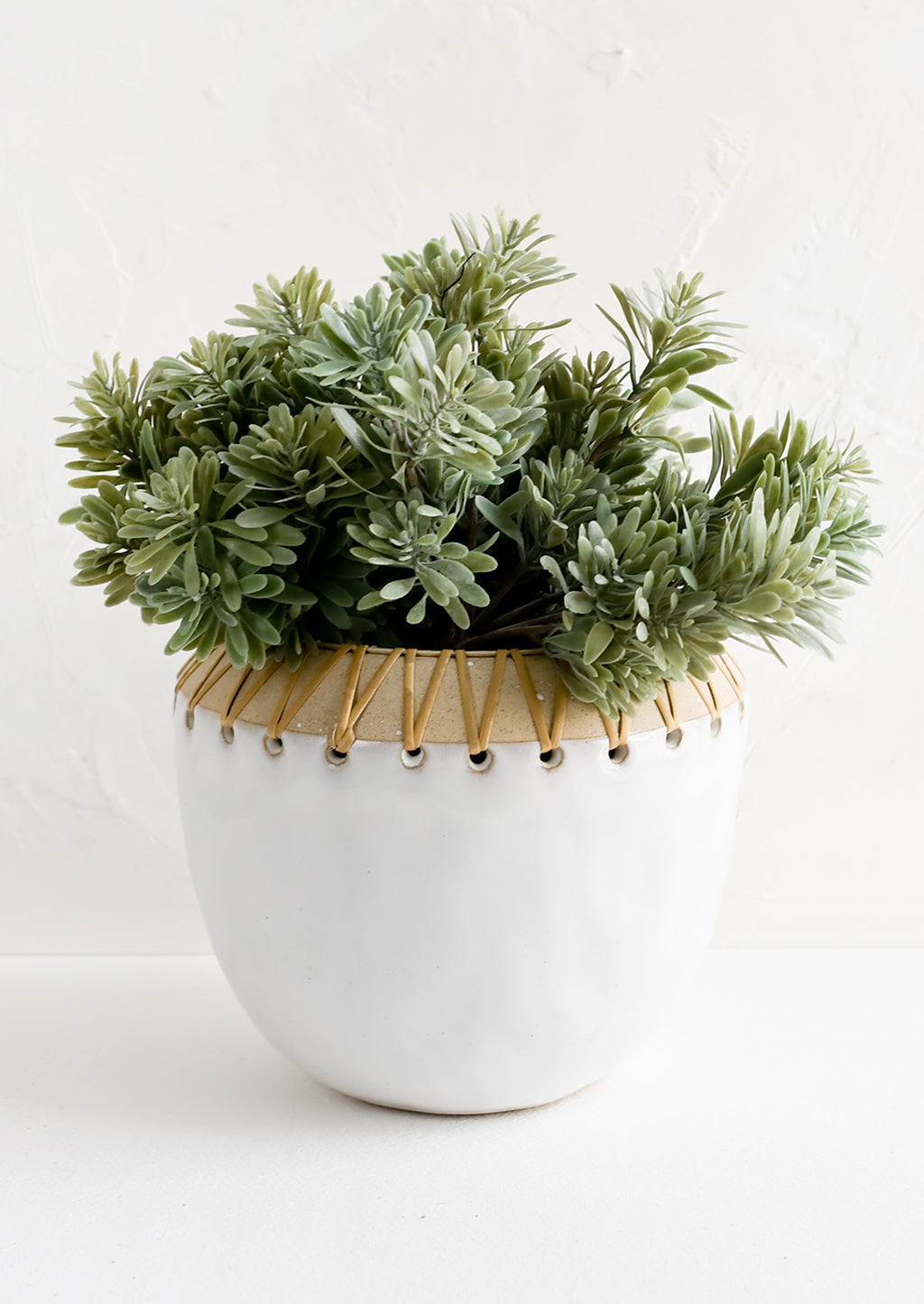2: A white ceramic planter in round shape with rattan trim around top, with green plant inside.