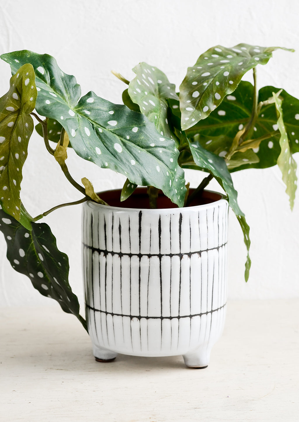 1: A tripod footed ceramic planter in black and white stripe pattern with plant.