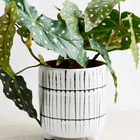 1: A tripod footed ceramic planter in black and white stripe pattern with plant.