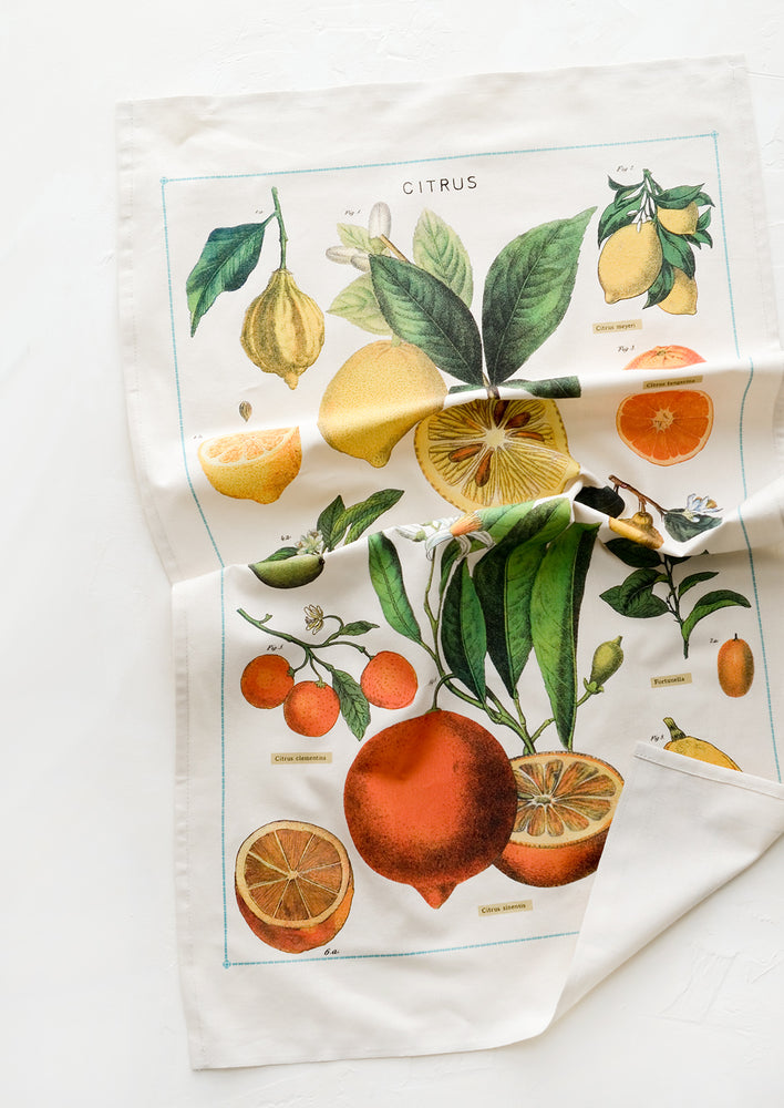 Citrus Species Tea Towel