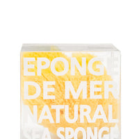 1: Natural Sea Sponge in  - LEIF