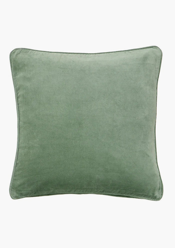 A square velvet throw pillow in ivy.