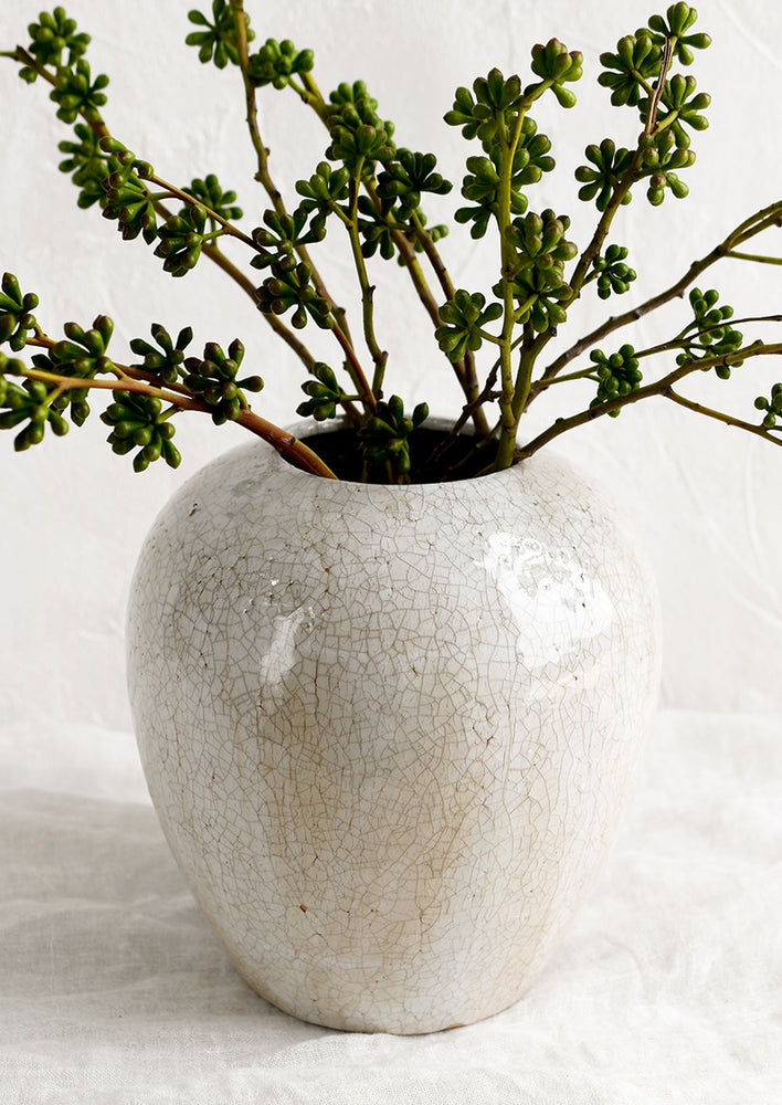 1: An off-white large ceramic vase with crackle pattern, with eucalyptus.