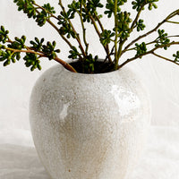 1: An off-white large ceramic vase with crackle pattern, with eucalyptus.