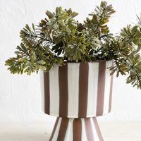 2: A striped ceramic planter with faux sedum plant.