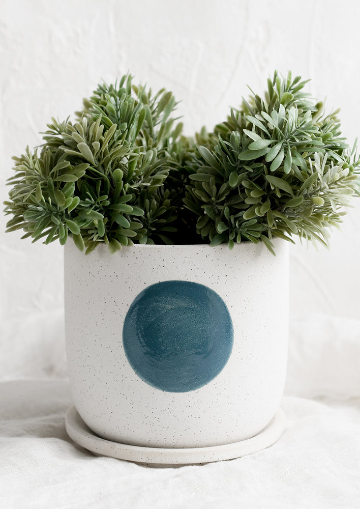 A white ceramic planter with blue dot, holding plant.
