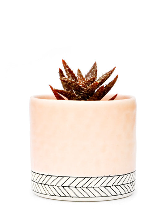 Peach: Herringbone Ceramic Planter in Peach - LEIF