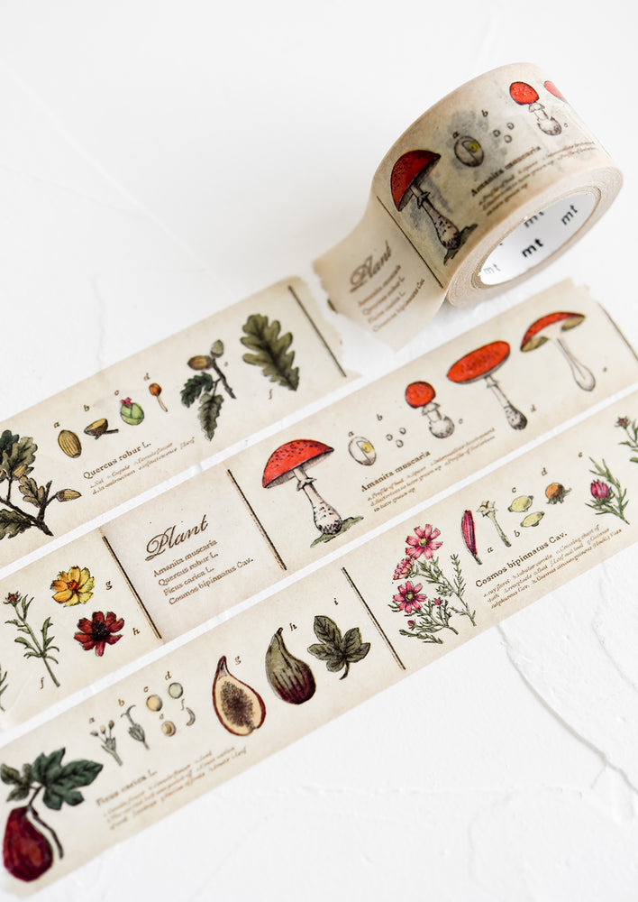 A roll of washi tape with multicolor botanical print.