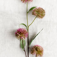 1: A faux floral spray of allium (onion) flowers.