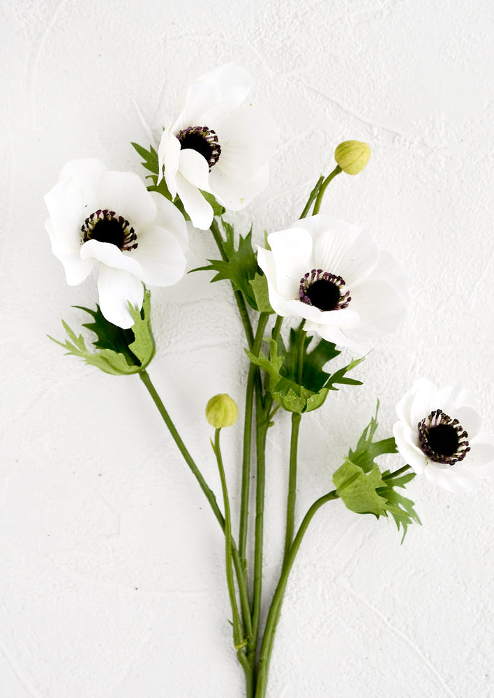 Faux white anemone flowers.