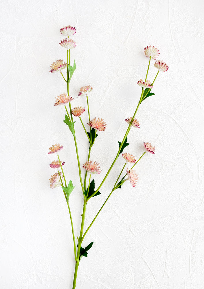 1: Realistic faux flower stem with pale pink astrantia flowers
