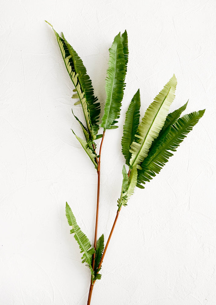 Faux leaf branch with two off-shoots of green, fern-like fronds