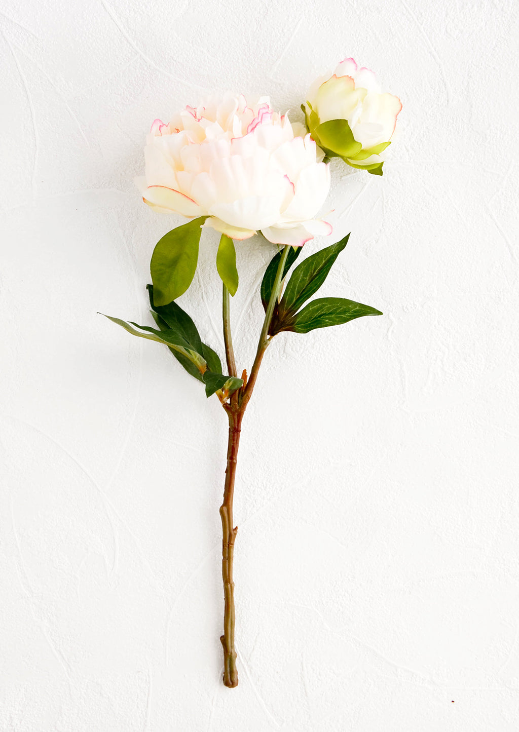1: Realistic looking faux peony flower stem, large flower with smaller bud off shoot