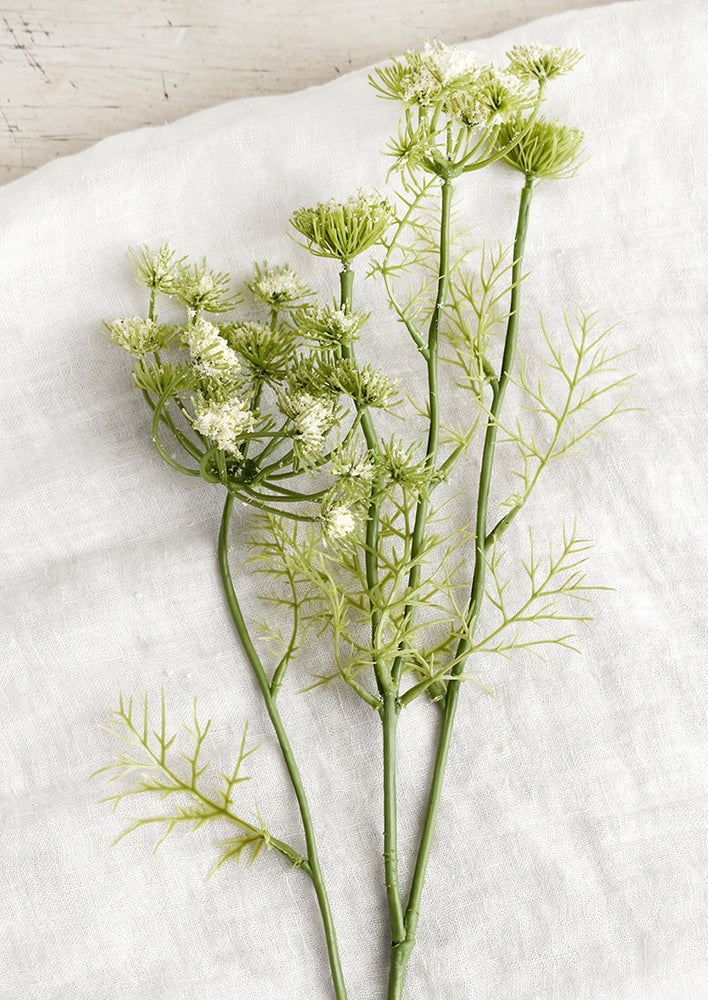 White: An artificial floral stem of white queen anne's lace.