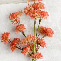 1: A faux stem of coral valerian flower.
