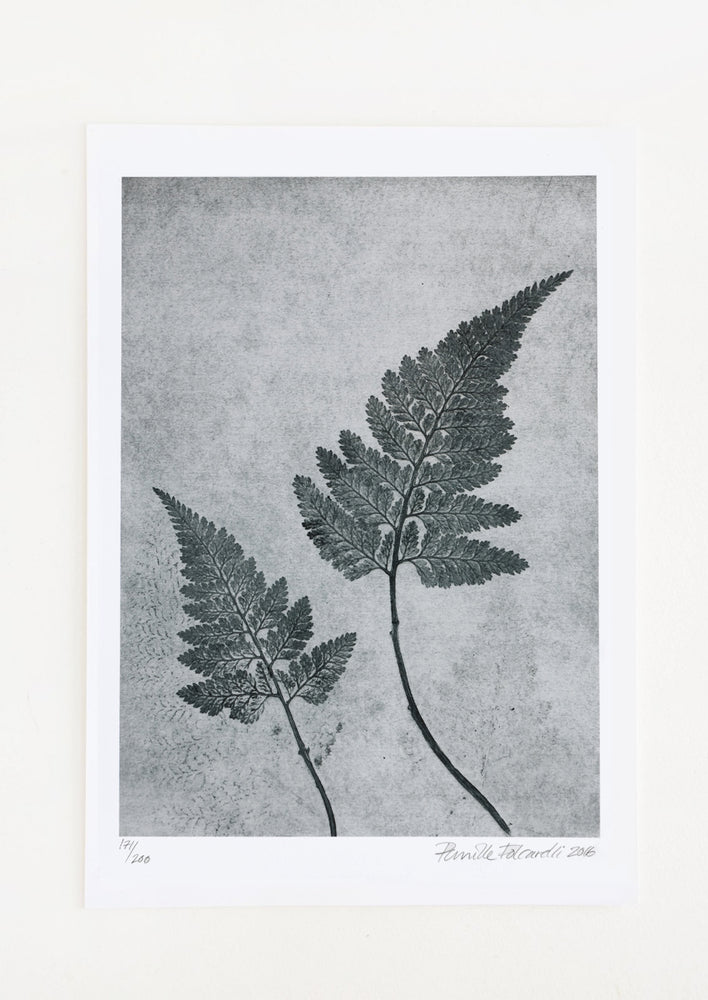 1: A botanical print of fern fronds in dusty blue.