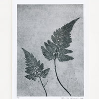 1: A botanical print of fern fronds in dusty blue.