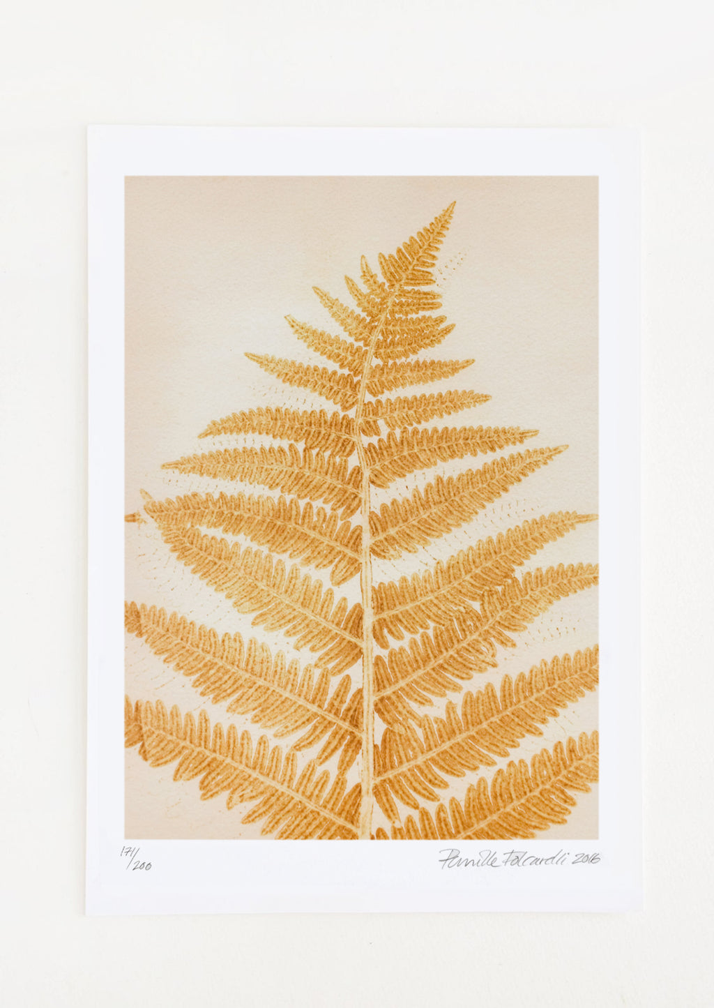 1: A botanical print of a fern frond in yellow mustard color.