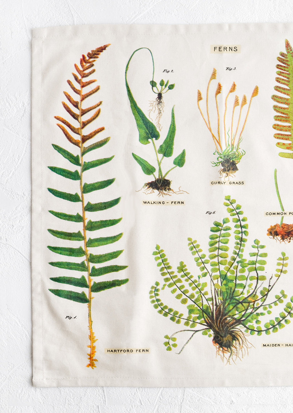 3: A square cotton napkin with screenprinted botanical fern print.