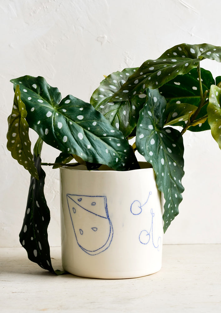 A ceramic planter with fruit drawings holding spotted begonia.