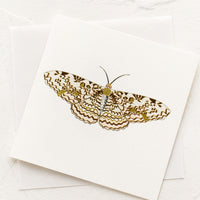Moth: A small gift enclosure card with illustration of moth.