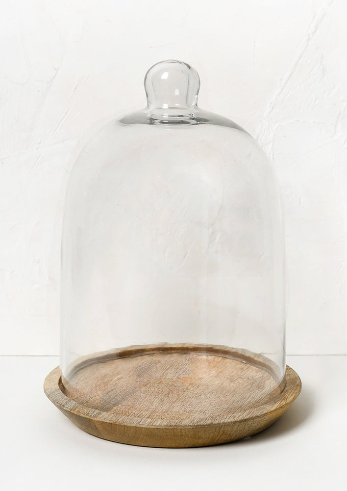 A decorative glass cloche with acacia wood base.