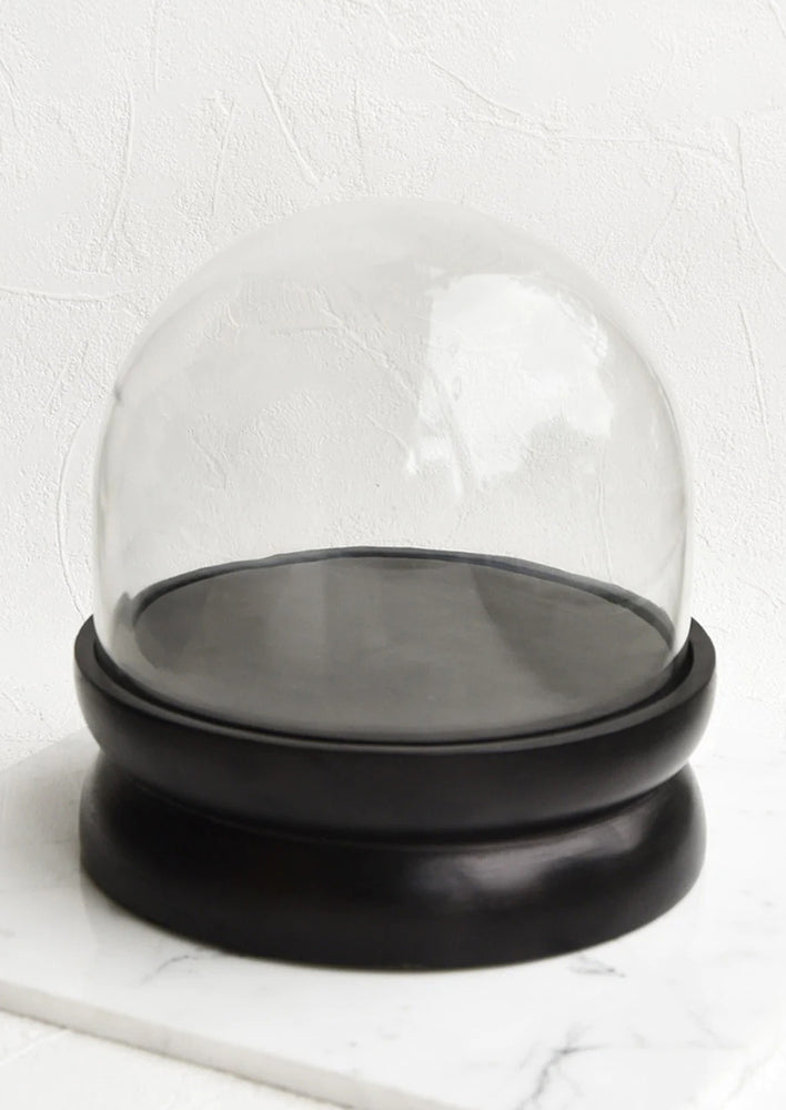 A wide, round glass cloche with a black wooden base