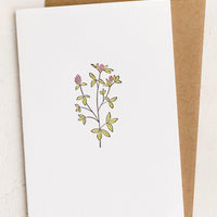 Red Clover: A blank white card with red clover illustration.